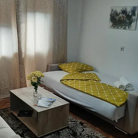 Apartment Andric *