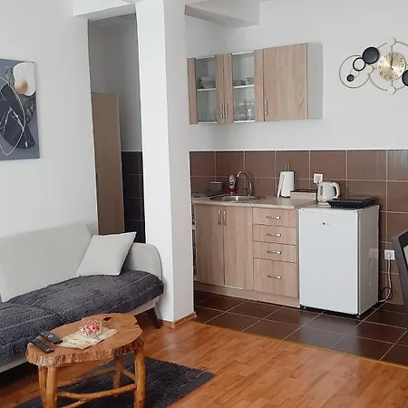Apartment Andric *