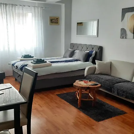 Andric Apartment *